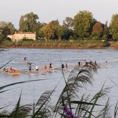 L'Atelier Saint-Sulpice Entre Bordeaux Et St Emilion Bed and Breakfast Εξωτερικό φωτογραφία