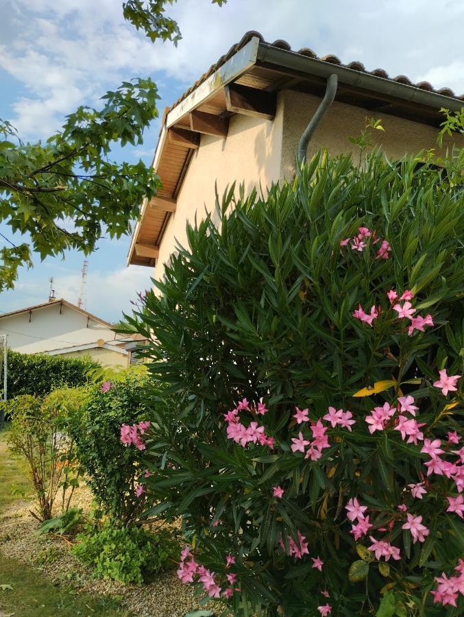 L'Atelier Saint-Sulpice Entre Bordeaux Et St Emilion Bed and Breakfast Εξωτερικό φωτογραφία